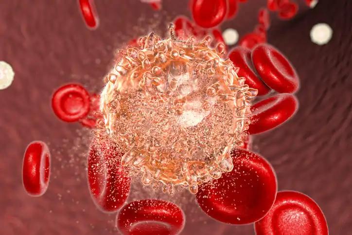 EBMT 2024 EBMT 2024